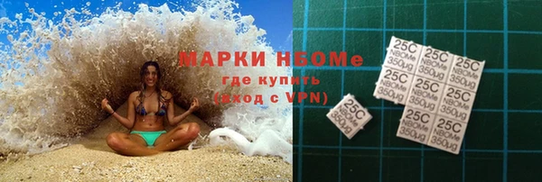 прущие грибы Михайловка
