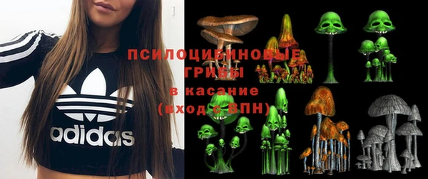 кокс Медвежьегорск