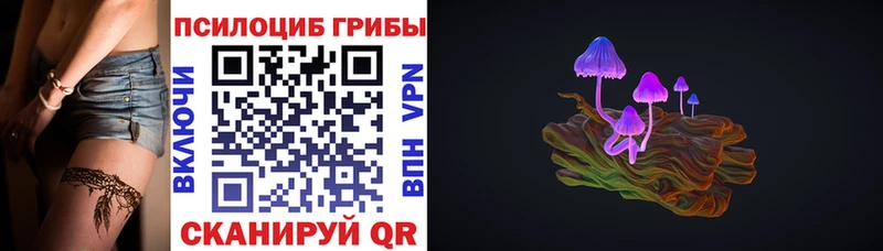 купить наркоту Красный Кут ссылка на мегу зеркало это Telegram Псилоцибиновые грибы Psilocybe